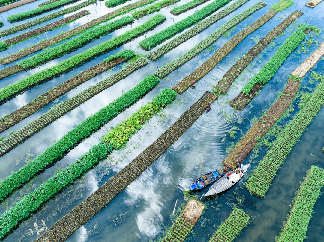 Fish Selection for Aquaponics
